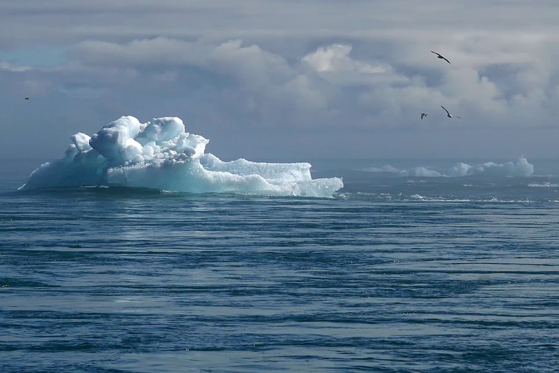 Climate Change Mitigation